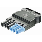 Wieland GST18i6 Series Male Connector, 6-Pole, Male, Cable Mount, 20A, IP20