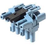Wieland GST18i Series T-Distributor, 5-Pole, 5-Way, 20A, IP20