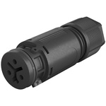 Wieland RST 08i2/3 Series Circular Connector, 2-Pole, Female, Cable Mount, 8A, IP66, IP68, IP69