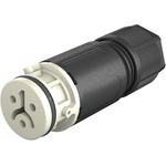 Wieland RST 08i2/3 Series Circular Connector, 2-Pole, Female, Cable Mount, 8A, IP66, IP68, IP69