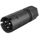 Wieland RST 08i2/3 Series Circular Connector, 2-Pole, Male, Cable Mount, 8A, IP66, IP68, IP69