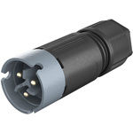 Wieland RST 08i2/3 Series Male Connector, 2-Pole, Male, Cable Mount, 8A, IP66, IP68, IP69