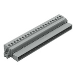 Wago 231 Series Pluggable Connector, 21-Pole, Male, 21-Way, Feed Through, 12A