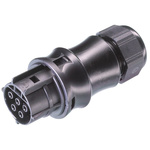 Wieland RST20i5 Series Connector, 5-Pole, Female, 1-Way, Cable Mount, 20A, IP66, IP68, IP69