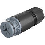Wieland RST 08i2/3 Series Circular Connector, 2-Pole, Female, Cable Mount, 8A, IP66, IP68, IP69