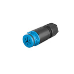 Wieland RST 08i2/3 Series Circular Connector, 3-Pole, Female, Cable Mount, 8A, IP66, IP68, IP69