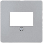 1 Outlet Faceplate
