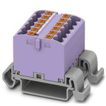 Phoenix Contact Distribution Block, 12 Way, 4mm², 24A, 690 V, Violet