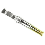 TE Connectivity, AMPLIMITE HD-20 size 20 Female Crimp D-sub Connector Contact, Gold, 24 → 20 AWG