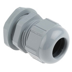 Lapp Skintop ST PG 21 Cable Gland With Locknut, Polyamide, IP68