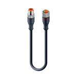 Lumberg Automation, RST Series, Straight Male to Straight Female Cordset, 4 Core 1m Cable