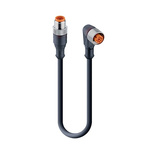 Lumberg Automation, RST Series, Straight Male to Angled Female Cordset, 4 Core 600mm Cable