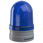 Werma EvoSIGNAL Midi Blue LED Beacon, 12 V, 24 V, Base Mount