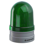 Werma EvoSIGNAL Midi Green LED Beacon, 12 V, 24 V, Base Mount