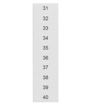 Siemens, 8WH Labeling Plate for use with  for use with Terminal Blocks