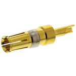 FCT from Molex, 172704 Series, Female Solder D-Sub Connector Power Contact, Gold over Nickel Power, 16 → 20 AWG