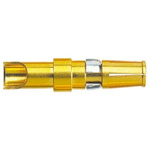 Harting, D-Sub Mixed Series, Female Solder D-Sub Connector Power Contact, Gold Power, 12 → 10 AWG
