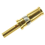 TE Connectivity, AMPLIMITE 109 power VIII Series, size 8 Female Crimp D-Sub Connector Power Contact, Gold over Nickel