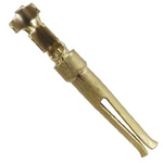TE Connectivity, AMPLIMITE HDP-20 Series, size 20 Female Crimp D-sub Connector Contact, Gold over Nickel Socket, 28