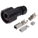 TE Connectivity Straight, Cable Mount, Plug Type B 2.0 USB Connector