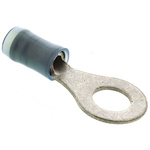TE Connectivity, PIDG Insulated Ring Terminal, M6 Stud Size, 1mm² to 2.6mm² Wire Size, Blue