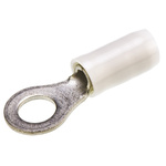 TE Connectivity, PIDG Insulated Ring Terminal, M5 Stud Size, 1.65mm² to 3.45mm² Wire Size, Red, White
