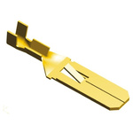 TE Connectivity FASTIN-FASTON .250 Uninsulated Male Spade Connector, Tab, 6.35 x 0.81mm Tab Size, 0.3mm² to 0.8mm²