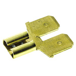 TE Connectivity Female to Male Spade Connector, Adapter, 6.35 x 0.81mm Tab Size