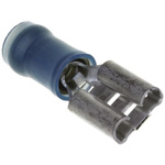 TE Connectivity PIDG FASTON .250 Blue Insulated Female Spade Connector, Receptacle, 6.35 x 0.81mm Tab Size, 1.3mm² to
