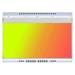 Display Visions Yellow-Green, Red Display Backlight, LED 94 x 67mm