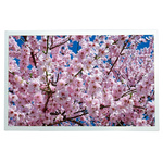RS PRO TFT TFT LCD Display / Touch Screen, 12.1in XGA, 1280 x 800pixels