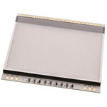 Display Visions White Backlight, LED 40-Pin 46 x 55mm