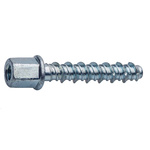 RS PRO Ankerbolt M8 x 55mm, 6mm Fixing Hole