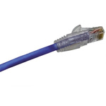 Molex Premise Networks Blue Cat6 Cable U/UTP PVC Male RJ45/Male RJ45, Terminated, 1m