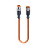 Lumberg Automation, RST Series, Straight Male to Straight Female Cordset, 4 Core 1.5m Cable