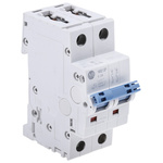 Allen Bradley 1492 1492-SPM MCB, 2P, 2A Curve C, 277V AC, 96V DC, 10 kA Breaking Capacity