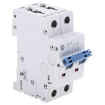 Allen Bradley 1492 1492-SPM MCB, 2P, 6A Curve D, 277V AC, 96V DC, 10 kA Breaking Capacity