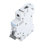 Europa EUB1 EUB MCB, 1P, 10A Curve B, 230V AC