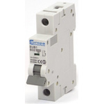 Europa EUB1 EUB MCB, 1P, 32A Curve B, 230V AC