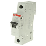 ABB Compact Home SH200 MCB, 1P, 10A Curve B, 440V AC, 60V DC, 6 kA Breaking Capacity