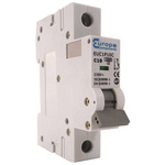 Europa EUC1P EUC MCB, 1P, 63A Curve C, 230V AC, 10 kA Breaking Capacity