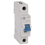 Allen Bradley 1492 1492-SPM MCB, 1P, 1A Curve D, 277V AC, 48V DC, 10 kA Breaking Capacity