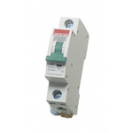 Contactum MCB, 1P, 6A Curve C, 250V AC, 10 kA Breaking Capacity