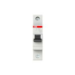 ABB Compact Home SH200 MCB, 1P, 25A Curve C
