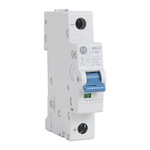 Rockwell Automation 1492-D1 1492-D MCB, 1P, 50A Curve C