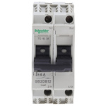 Schneider Electric Thermal Circuit Breaker - GB2 2 Pole 277V ac Voltage Rating DIN Rail Mount, 6A Current Rating