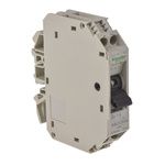 Schneider Electric Thermal Circuit Breaker - GB2 1P + N Pole 250V ac Voltage Rating DIN Rail Mount, 1A Current Rating