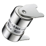 RS PRO 40A Ceramic Cartridge Fuse, 15 x 22mm