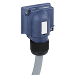 Schneider Electric 2A Cartridge Fuse, 10 x 38mm