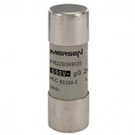 Mersen 20A Slow-Blow Ceramic Cartridge Fuse, 22.2 x 58mm